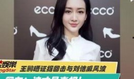 刘晶爆料内容介绍视频下载,视频下载背后的秘密与技巧揭秘