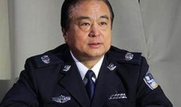 公安局长四在线观看,在线观看背后的故事与真相