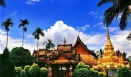 西双版纳最新爆料,探寻热带雨林的神秘魅力