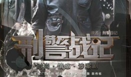 刑警战记在线观看,在线追凶，正义之光